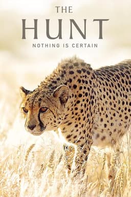 The Hunt