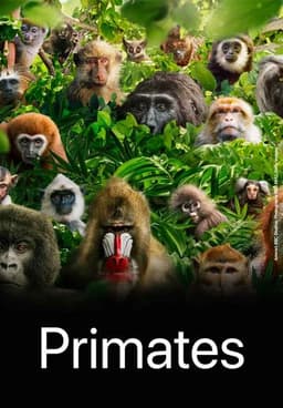 Primates