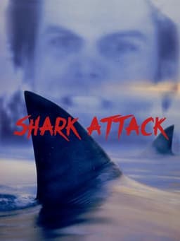 Shark Attack