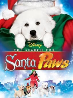 The Search for Santa Paws