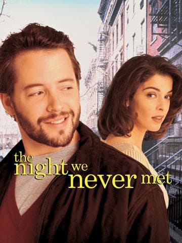 The Night We Never Met