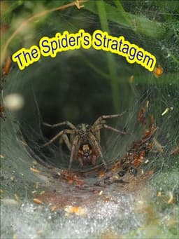 The Spider's Stratagem