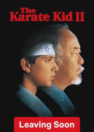 The Karate Kid Part II