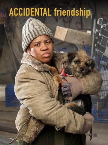 Accidental Friendship