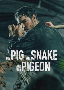 The Pig, the Snake and the Pigeon