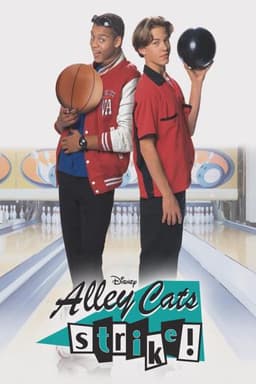 Alley Cats Strike