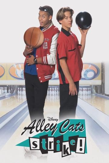 Alley Cats Strike