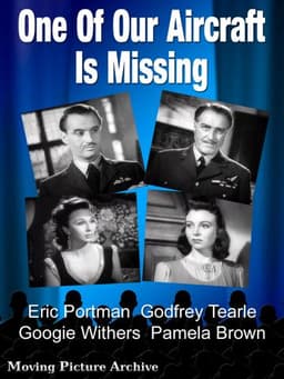 One of Our Aircraft Is Missing