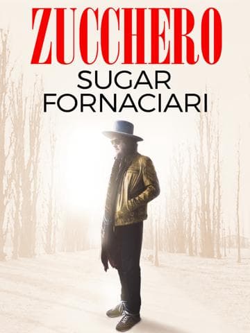 Zucchero | Sugar Fornaciari