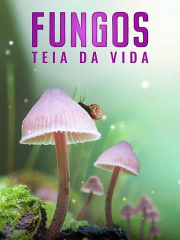 Fungi: The Web of Life