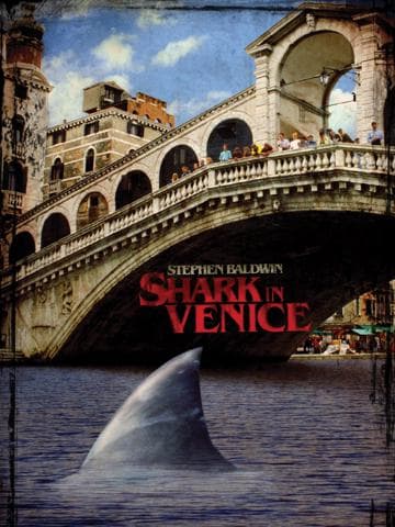 Sharks in Venice