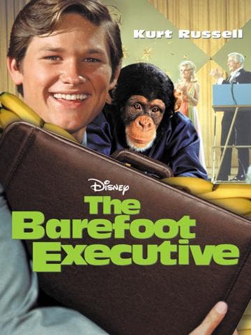 The Barefoot Executive