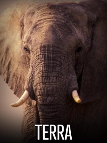 Terra