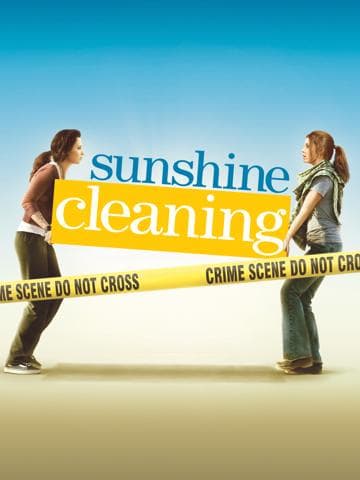 Sunshine Cleaning