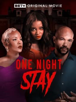 One Night Stay