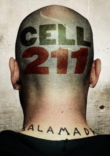 Cell 211