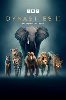 Dynasties