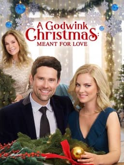 A Godwink Christmas: Meant For Love