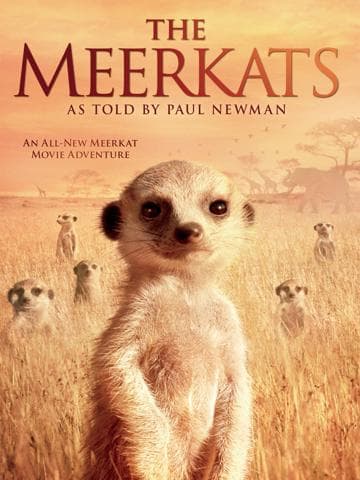 The Meerkats