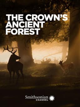 The Crown's Ancient Forest