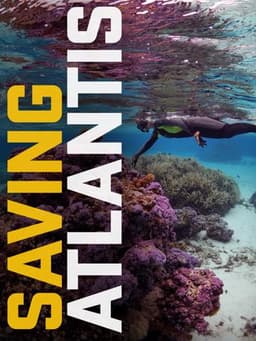 Saving Atlantis