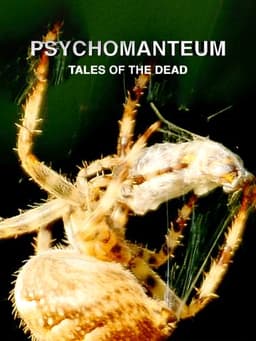 Psychomanteum