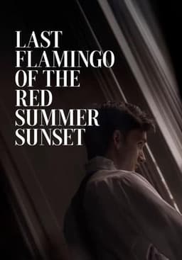 Last Flamingo of the Red Summer Sunset