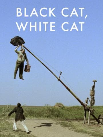 Black Cat, White Cat