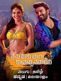 Nenu Meeku Baaga Kavalsinavaadini