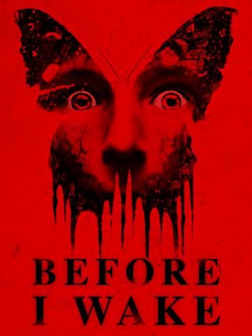Before I Wake