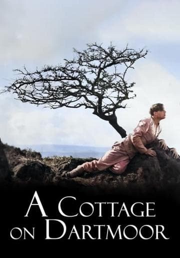 A Cottage on Dartmoor