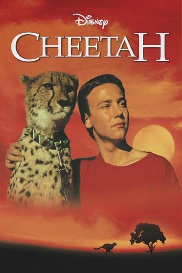 Cheetah