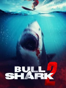 Bull Shark 2