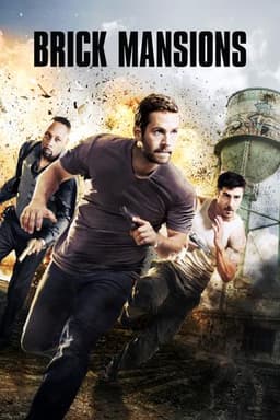 Brick Mansions