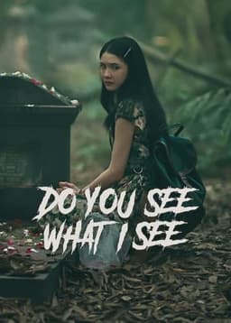 Do You See What I See