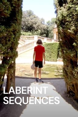Laberint Sequences