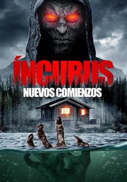 Incubus: New Beginnings