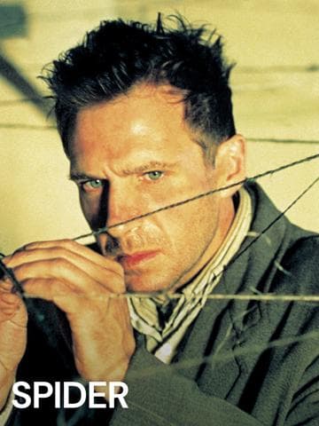 Spider