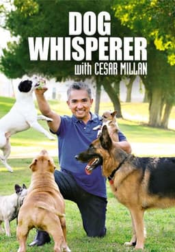 Dog Whisperer