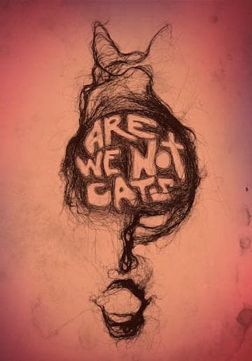 Are We Not Cats