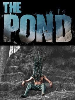 The Pond