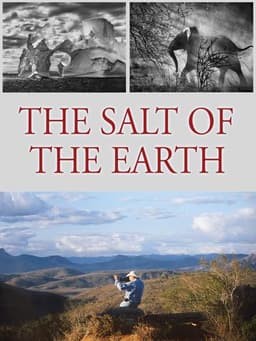 The Salt of the Earth