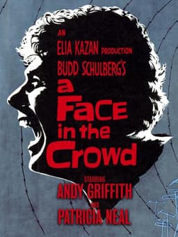 A Face in the Crowd