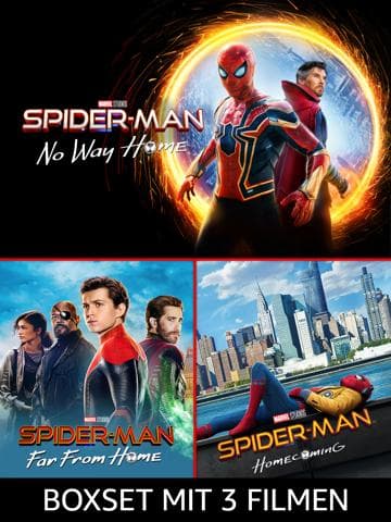 Spider-Man: All Roads Lead to No Way Home