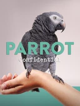 Parrot Confidential