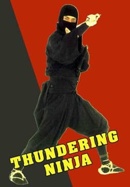 The Thundering Ninja