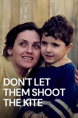 Don't Let Them Shoot the Kite