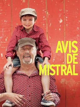 My Summer in Provence