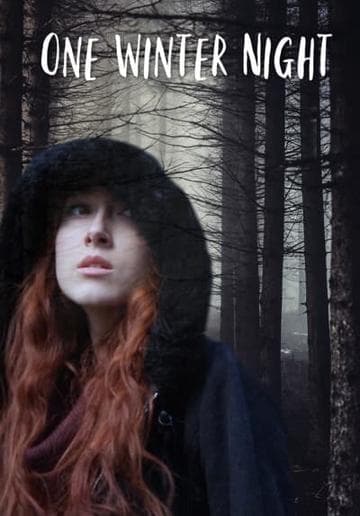 One Winter Night