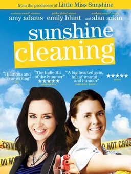 Sunshine Cleaning